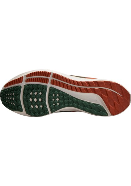 Pegasus 39 A.ı.r. Hola Lou Road Running Erkek Spor Ayakkabı DO9500-300
