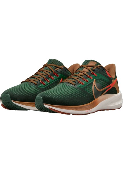 Pegasus 39 A.ı.r. Hola Lou Road Running Erkek Spor Ayakkabı DO9500-300