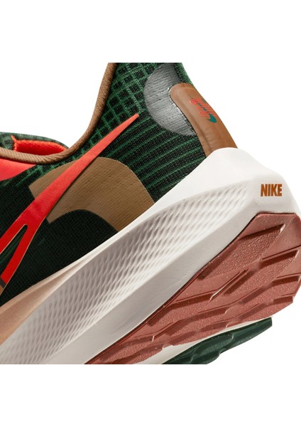Pegasus 39 A.ı.r. Hola Lou Road Running Erkek Spor Ayakkabı DO9500-300