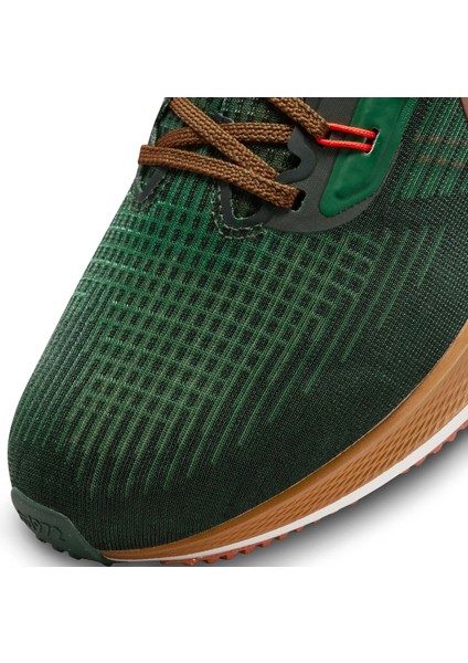 Pegasus 39 A.ı.r. Hola Lou Road Running Erkek Spor Ayakkabı DO9500-300