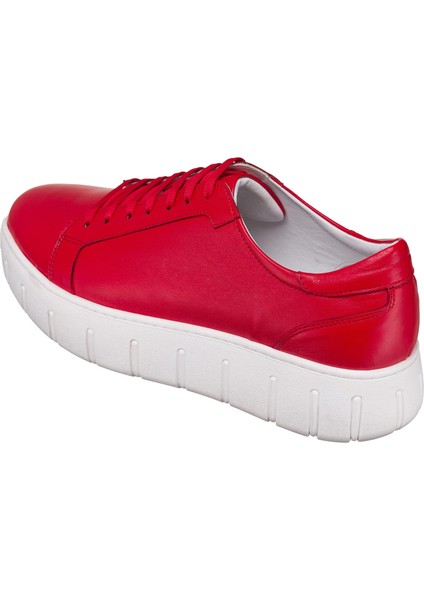 45 -46 - 47 - 48 - 49 - 50 Büyük Numara Günlük & Spor & Yazlık & Kışlık Ayakkabı