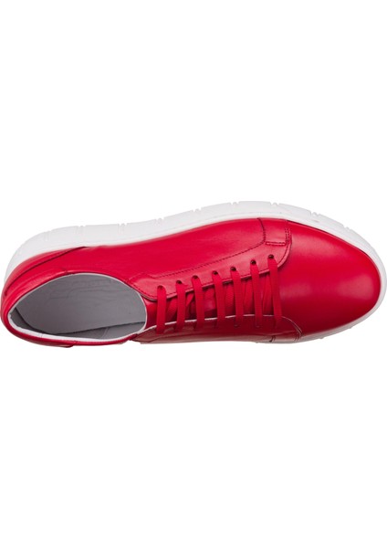 45 -46 - 47 - 48 - 49 - 50 Büyük Numara Günlük & Spor & Yazlık & Kışlık Ayakkabı