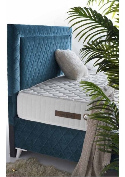 Dakar Full Ortopedik Antialerjik 24CM 100*200 Venüs Yatak modelleri