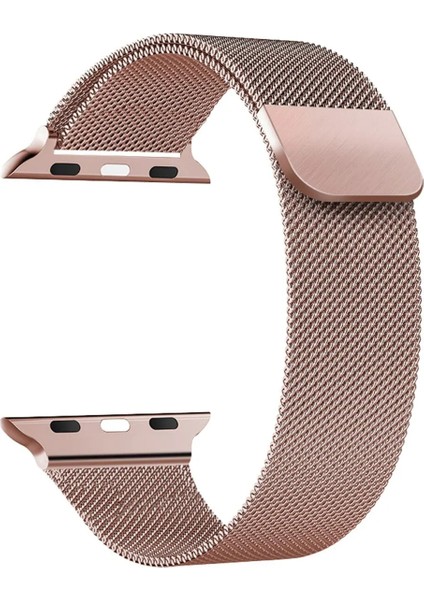 Apple Watch 10 42MM 6 7 8 9 10 Se Uyumlu 38 40 41MM Milano Metal Hasır Mıknatıslı Kordon Paslanmaz Çelik
