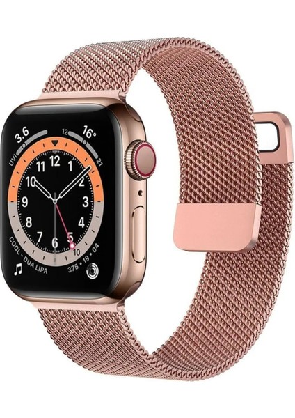 Apple Watch 10 42MM 6 7 8 9 10 Se Uyumlu 38 40 41MM Milano Metal Hasır Mıknatıslı Kordon Paslanmaz Çelik modelleri