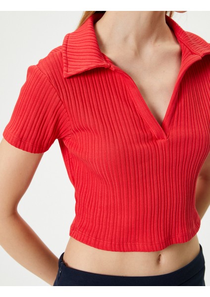 Yeni Sezon Polo Yaka Crop Tişört Kısa Kollu Ribanalı Pamuklu indirimleri