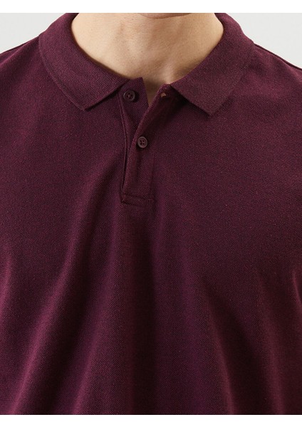 Yeni Sezon Polo Yaka Kisa Kollu Erkek Tisort - S5KD01Z8 modelleri