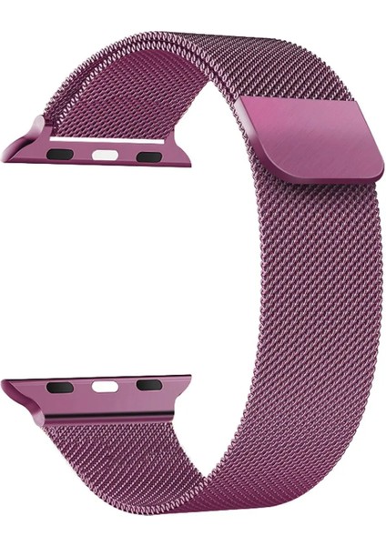 Apple Watch 10 9 8 7 6 Se Ultra Uyumlu 42 44 45 46 49MM Milano Metal Hasır Mıknatıslı Kordon Paslanmaz Çelik