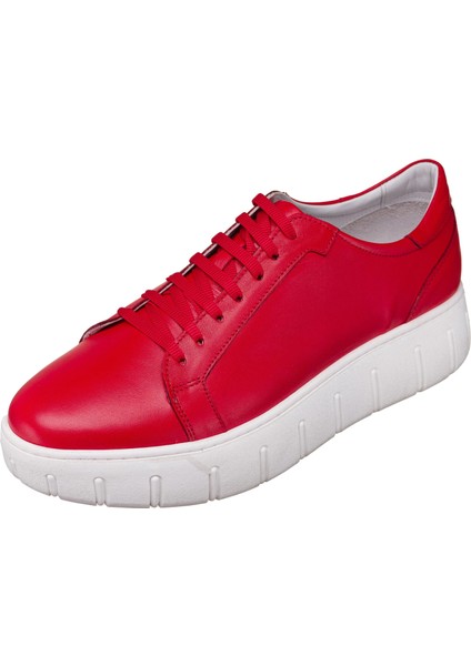 45 -46 - 47 - 48 - 49 - 50 Büyük Numara Günlük & Spor & Yazlık & Kışlık Ayakkabı