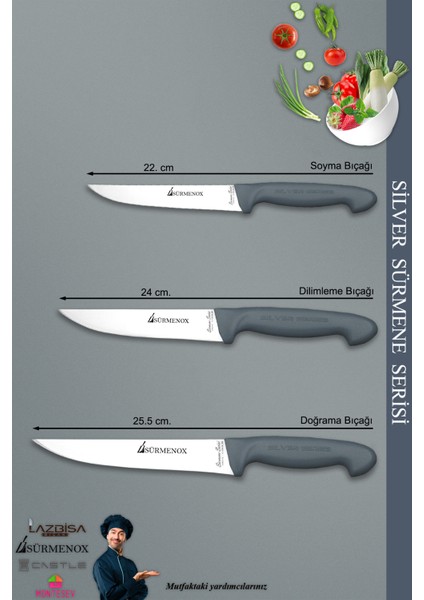 Sürmene Silver Serisi Gri Sap Mutfak Bıçak Seti Et Ekmek Sebze Meyve Bıçağı 10 Lu Set ( Srm-01) fırsatları