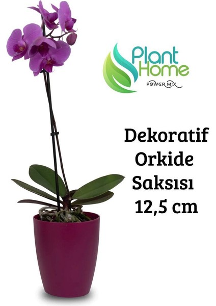 Dekoratif Vişne Orkide Saksısı-A Adet Set Fiyatlı-12 Pot Üretim Saksısına Uygun Kaliteli Ürün
