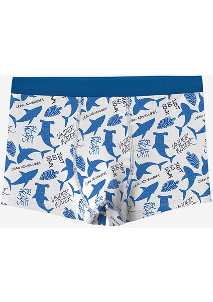 Yeni Sezon Baskili Erkek Cocuk Boxer 3'lu - S5FP33Z4 modelleri