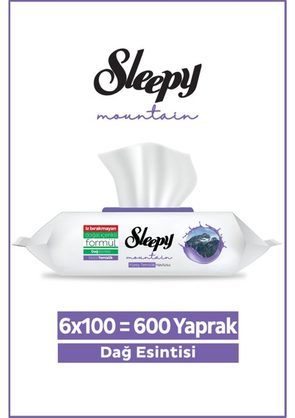 Mountain Yüzey Temizlik Havlusu&mendili Dağ Esintisi 6X100 (600 Yaprak)