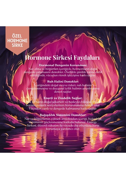 Hormone Sirke – Nar, Elma ve Böğürtlen Özlü, Doğal, Katkısız Sirke, 250 ml