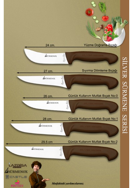 Sürmene Silver Serisi Kahve Sap Mutfak Bıçak Seti Et Ekmek Sebze Meyve Bıçağı 10 Lu Set ( Srm-19) fiyatları