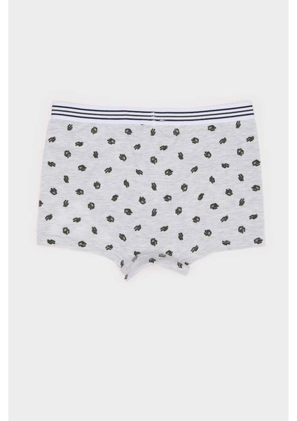 Yeni Sezon Erkek Çocuk Kaktüs Desenli 3'lü Boxer modelleri