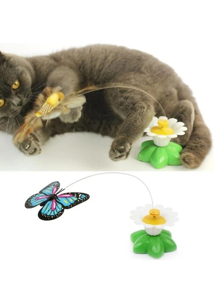 Hareketli Pilli Dönen Kelebek Kedi Oyuncağı 6 cm