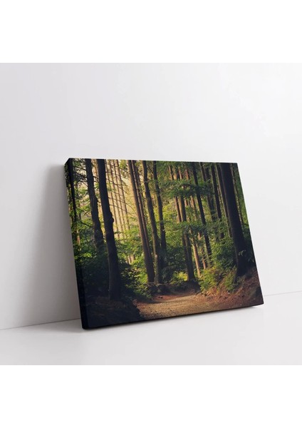 Sessiz Orman Kanvas Tablo fiyatları