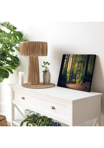 Sessiz Orman Kanvas Tablo modelleri