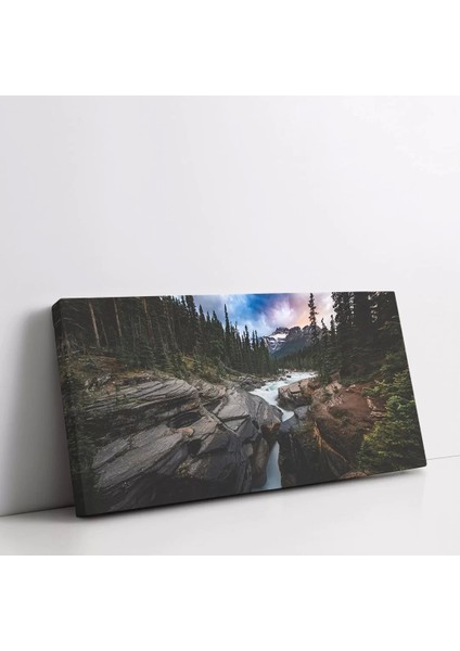 Vahşi Doğa Yolu Kanvas Tablo fiyatları