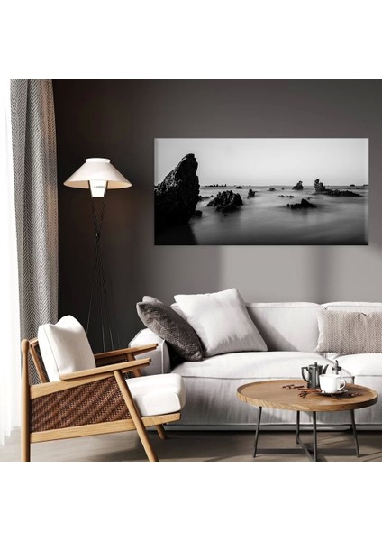 Sisli Sahil Kanvas Tablo