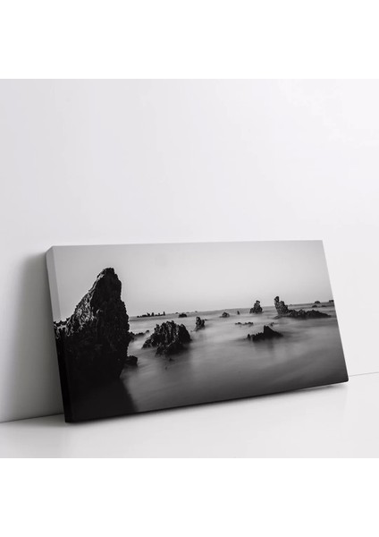 Sisli Sahil Kanvas Tablo fiyatları