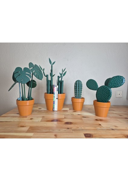 Kaktüs Bardak Altlığı - Kahve ve Fincan Altlığı - Pinterest Ürünleri - Minimalist - Biblo - Yapay Bitki - Evde, Ofiste, Her Yerde Estetik ve Işlevsellik