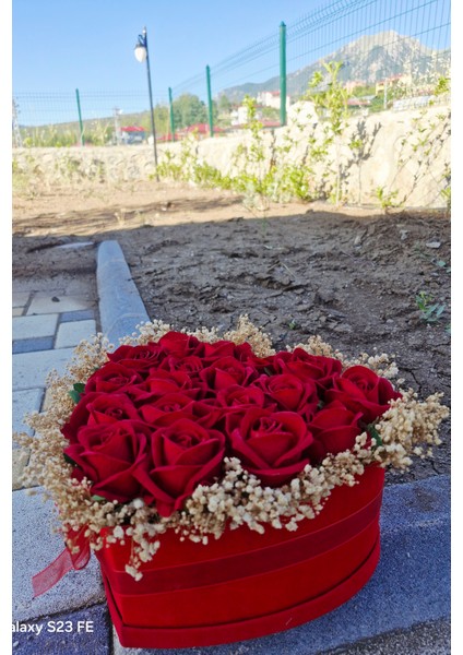 Isteme Çiçek Kutu
