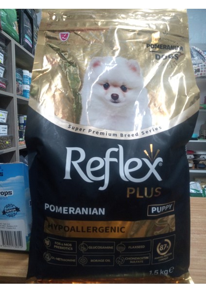 Pomeranıan Hypoallergenıc Puppy 1.5 kg