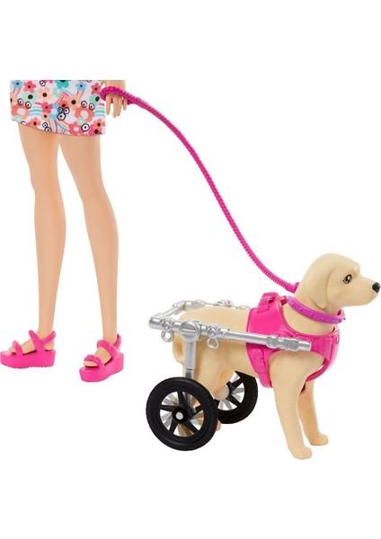 HTK37 ve Engelli Köpeği Oyun Seti indirimleri