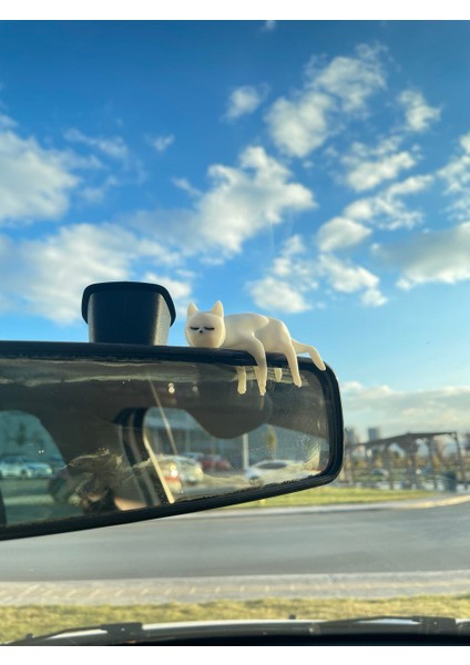 Uyuyan Kedi Araba Dikiz Ayna Süsü