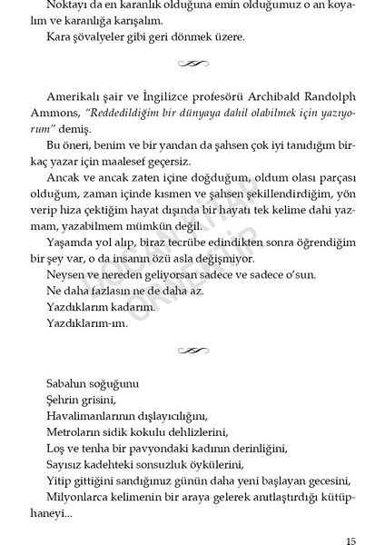 Gerisi Sessizlik - Efe Aydar