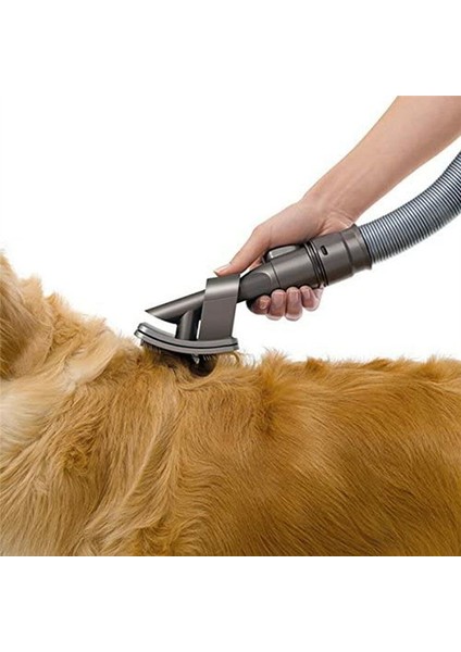 Evcil Hayvan Bakım Seti, Köpek Fırçası Tüy Vakum Aparatı (Yurt Dışından) indirimleri