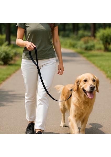 Dayanıklı Köpek Gezdirme Kayışı Metal Tokalı Bütün Tasmalara Uyumlu Evcil Hayvan Tasması Siyah