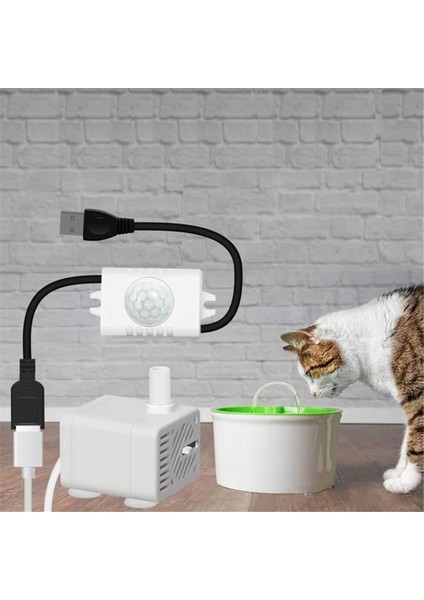 USB Pet Akıllı Kedi Su Sebili Akış Filtresi Indüksiyon Otomatik Sirkülasyon Dalgıç Pompa (Yurt Dışından) modelleri