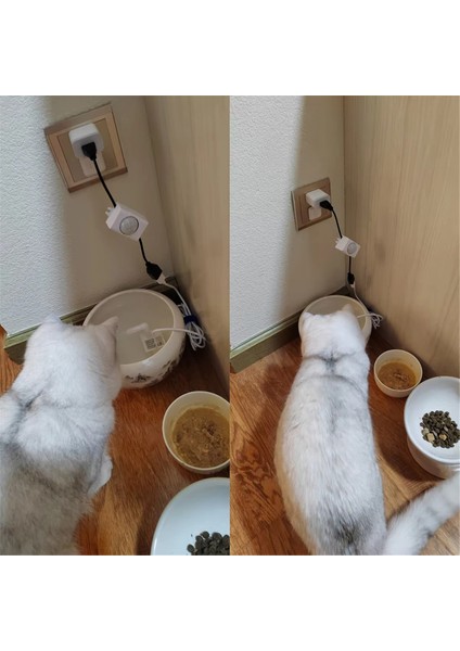 USB Pet Akıllı Kedi Su Sebili Akış Filtresi Indüksiyon Otomatik Sirkülasyon Dalgıç Pompa (Yurt Dışından) fırsatları