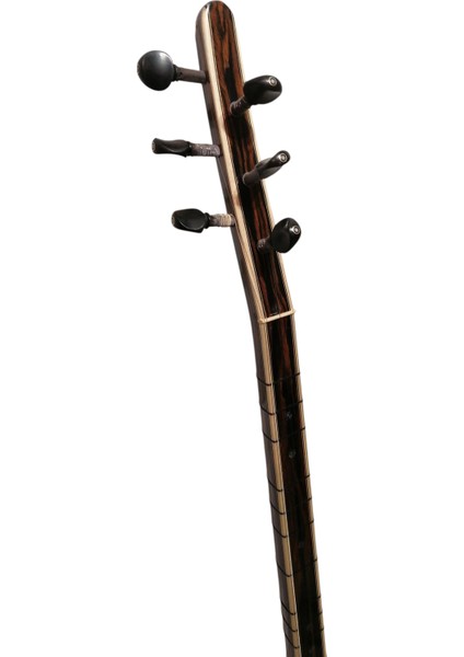 Elektro Bağlama