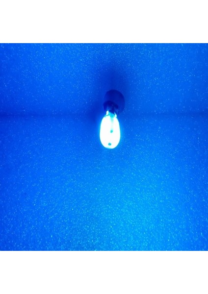 ( 2 x Adet ) 1 Takım Professıonal T10 LED Ice Blue T10 LED Dipsiz Ampul 12 Smd Chıp Seri Buz Mavi
