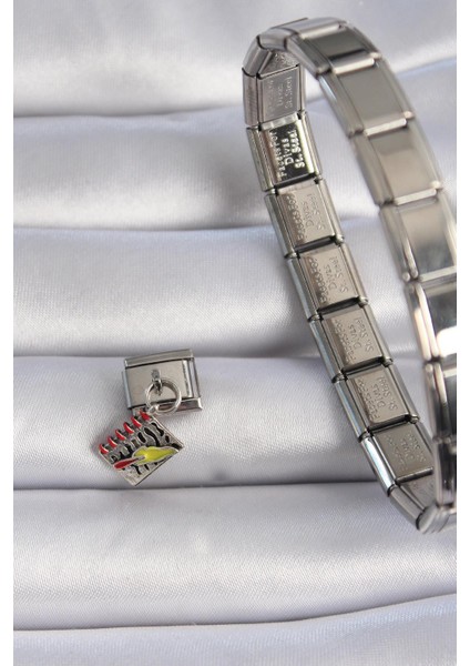 316L Çelik Gümüş Renk Sallantı Defter Figür Nomination Charm fiyatları