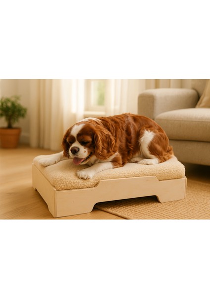 Dostluk Yatağı Huş (Kedi Köpek)