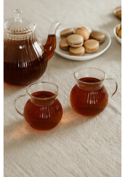 6'lı Borosilikat Cam Kulplu Modern Çizgili Çay Bardağı