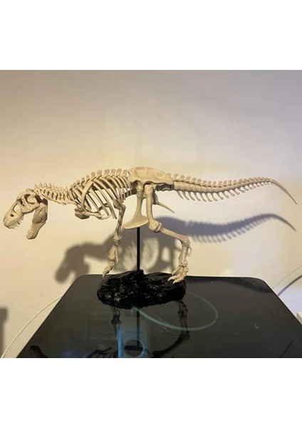 Jurassic Dönemi T-Rex Iskelet Maketi – Eğitim Amaçlı Dekoratif Model