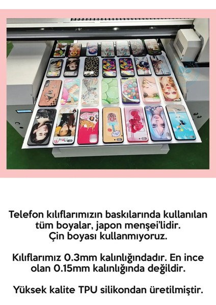 Xiaomi Redmi Note 9s - Note 9 Pro Tıpalı Kamera Korumalı Kılıf - Mısır Grafik