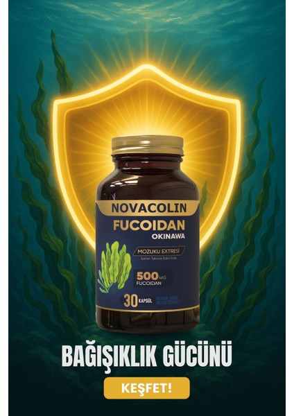 Fucoıdan Okinawa 30 Kapsül modelleri