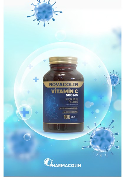 Vitamin C Rose Hips 500 Mg 100 Tablet