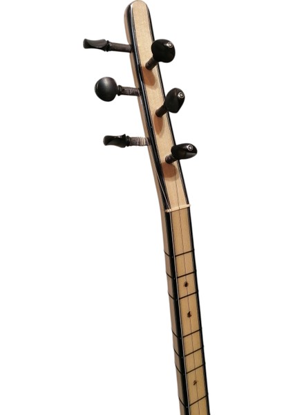 Ritimli Elektro Bağlama