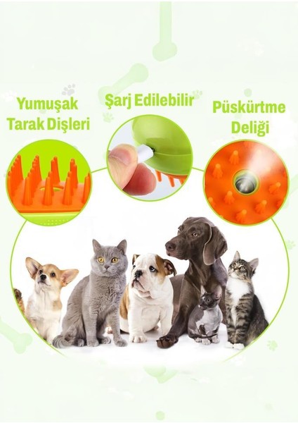 Şarjlı Buharlı Tüy Toplama Fırçası fırsatları