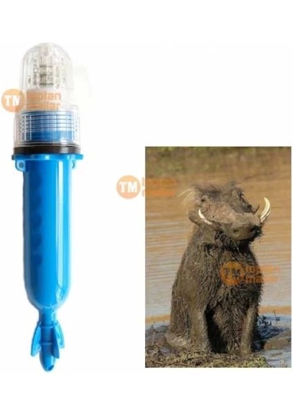 Hayvan Domuz Koyucu Işıldak Ayı Köstebek Fare Fener Lamba Savar modelleri