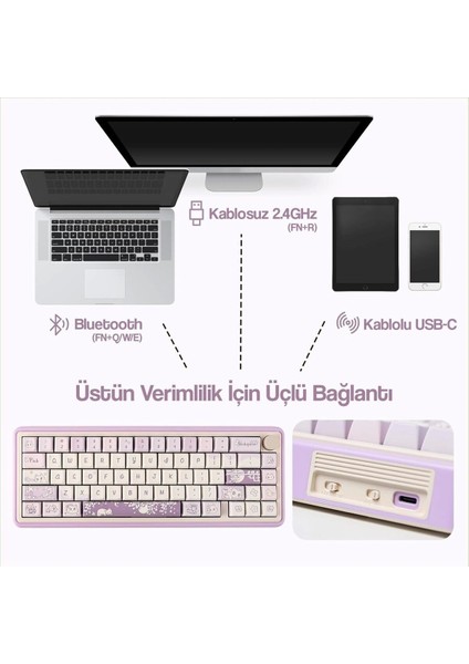 ABM067 Nebula Programlanabilir Esports Rgb Mekanik 3 Mode Kablosuz Klavye (Mor)