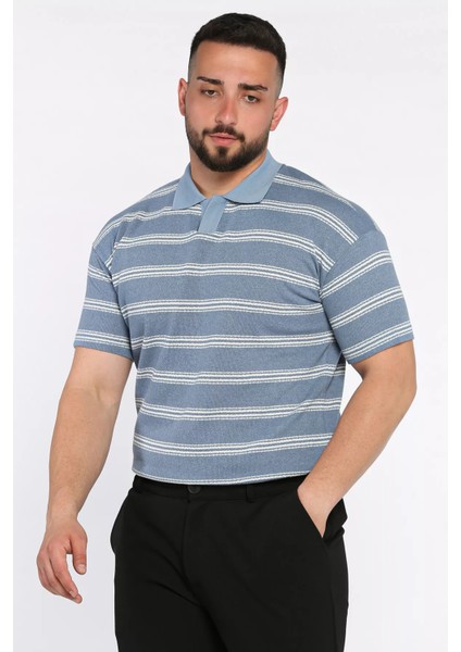 Polo Yaka Çizgili Erkek Tişört P-00017653 fiyatları